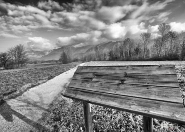 2019 - L'anno che verrà