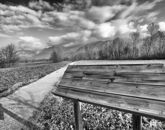 2019 l'anno che verrà©FuoriFuoco.it