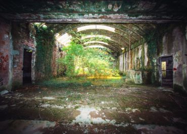 Nella vecchia fattoria...