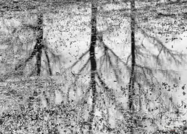 Riflessioni sull'Adda