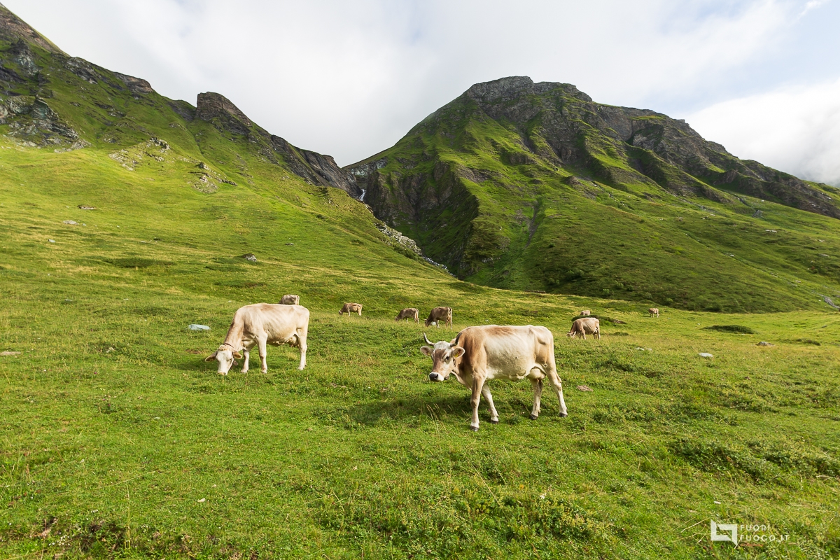 Lej da la Duana ©FuoriFuoco.it