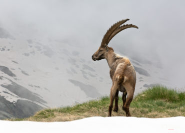 Monte Madonnino Mt. 2502