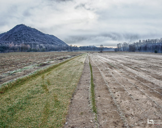 Espressioni di tono ©fuoriFuoco.it