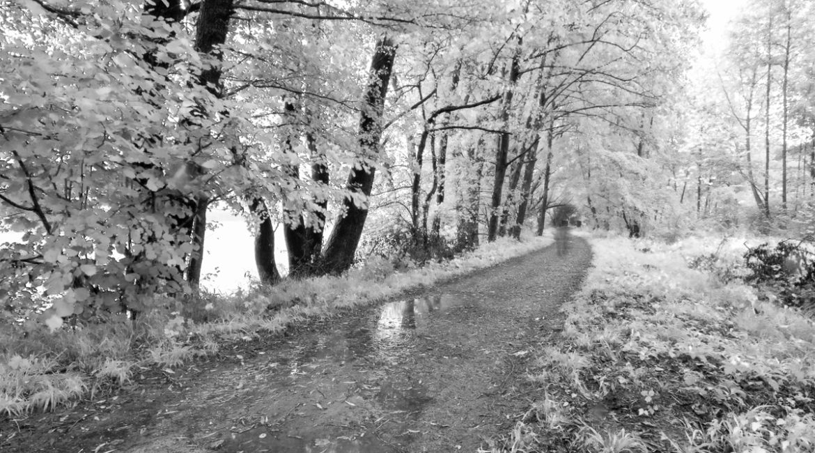 Diversamente acque ©FuoriFuoco.it