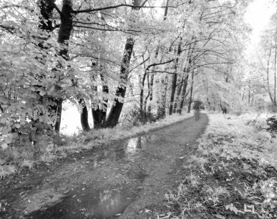 Diversamente acque ©FuoriFuoco.it