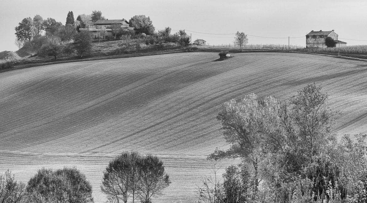 Astigiano ©FuoriFuoco.it