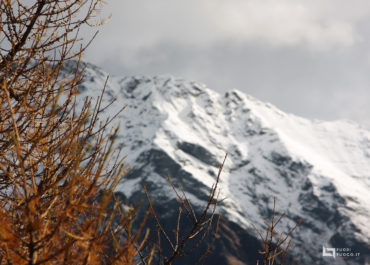 Monte Legnoncino Mt.1711