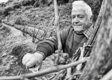 Mariangelo e la vigna