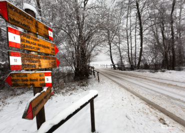 Parco di Montevecchia - le stagioni