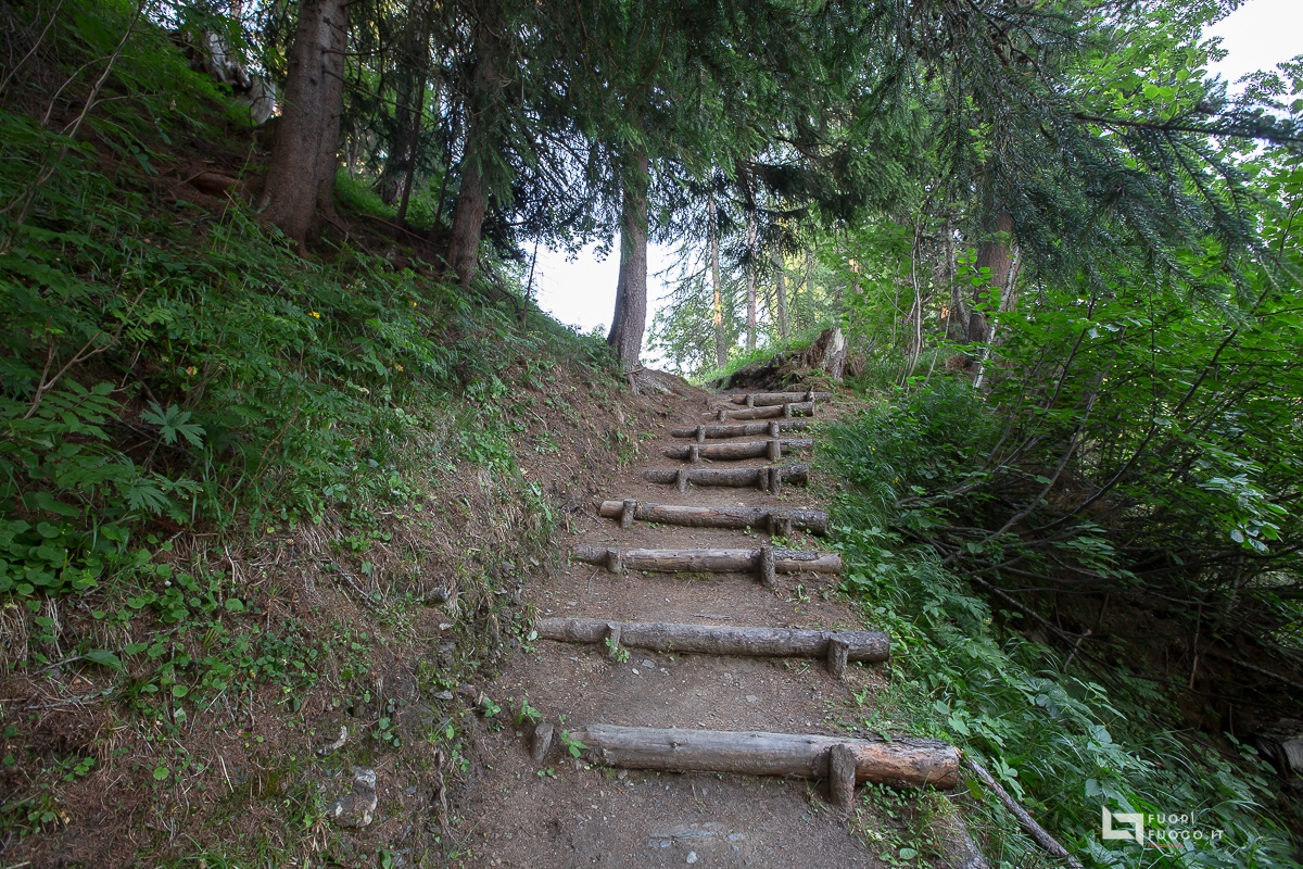 Lej Sgrischus-Nair-Alv ©FuoriFuoco.it