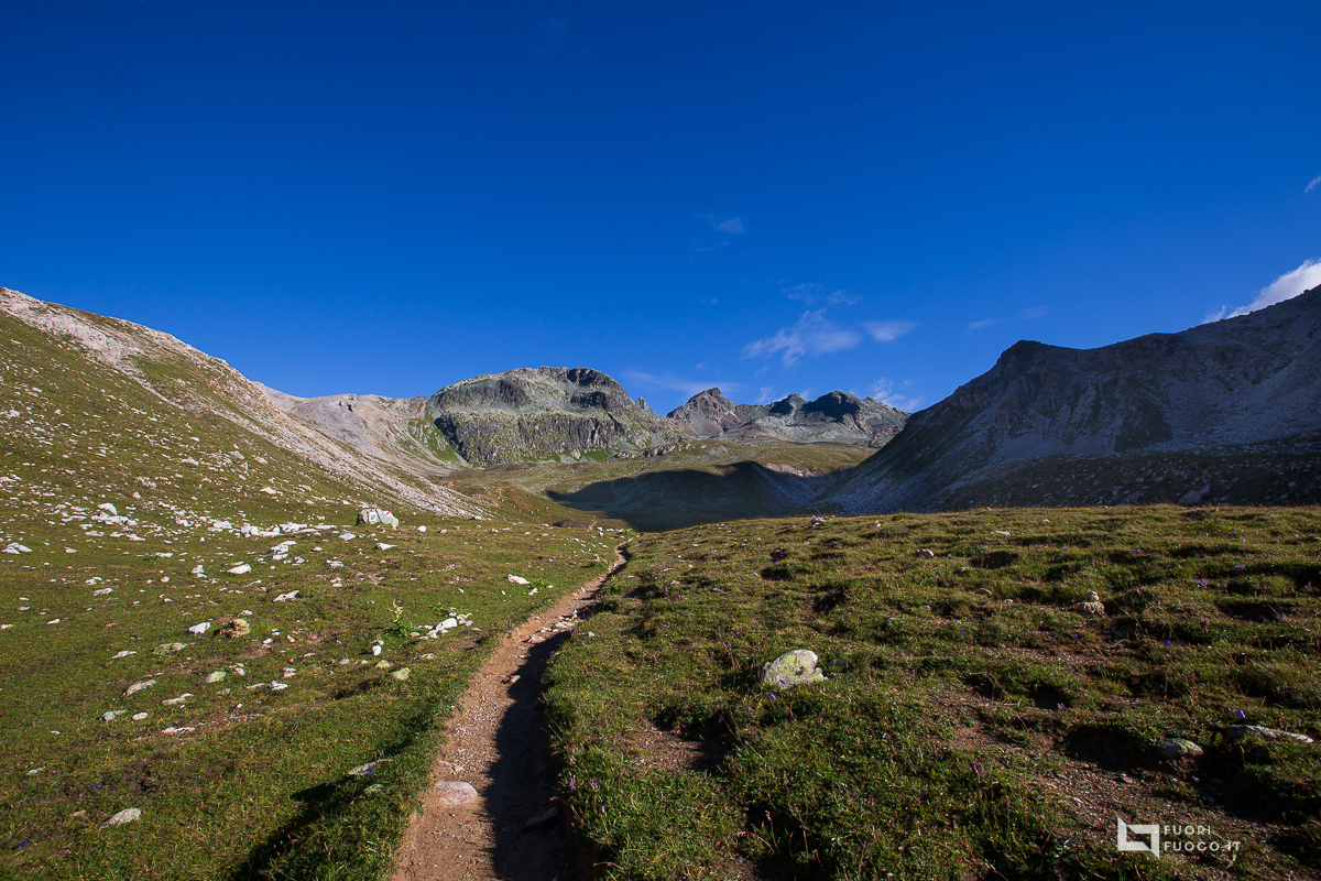 Chamanna Jenatsch ©FuoriFuoco.it