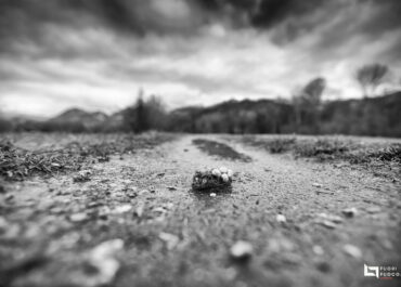 Il mio paesaggio ricorrente