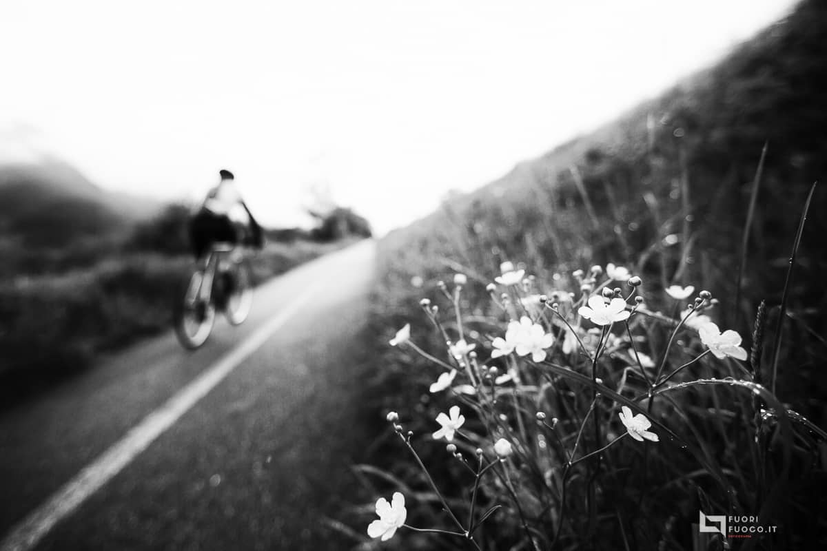 La-strada-della-vita-6