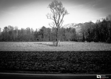 2022 prime impressioni